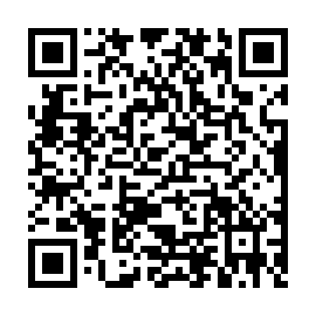QR code for DHW-4007