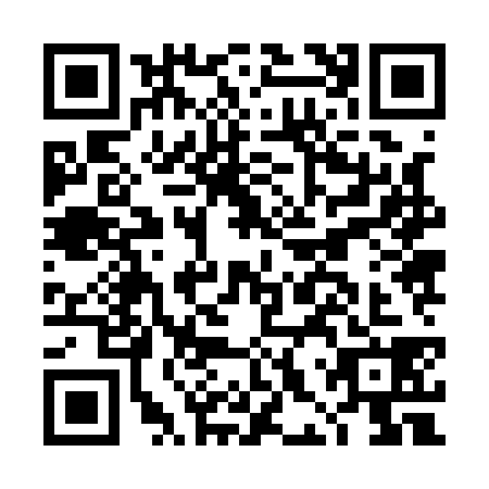 QR code for DHZ-1384