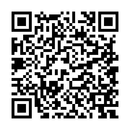QR code for plate DID-9538