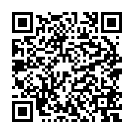 QR code for DII-2482