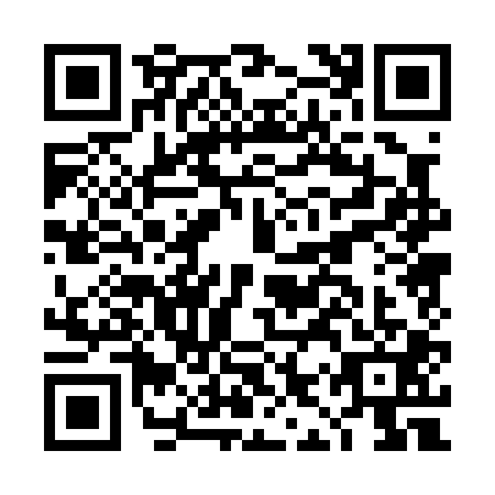 QR code for DIP-0010