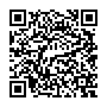 QR code for DIP4243