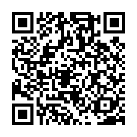 QR code for plate DIW-4296