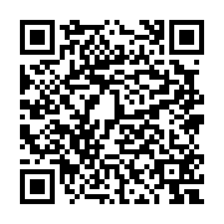 QR code for plate DIY-0523