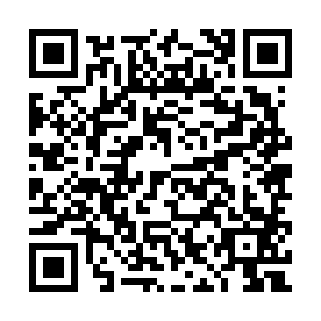 QR code for plate DIZ-6833