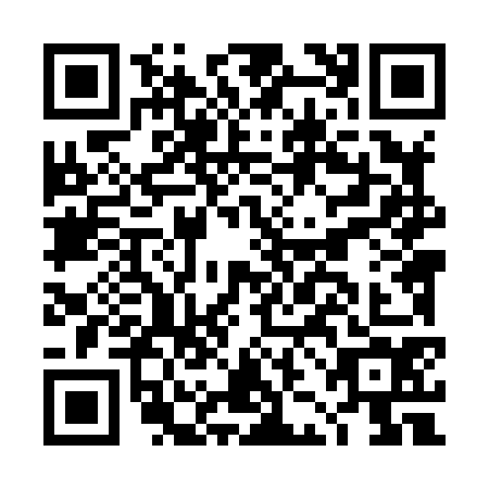 QR code for plate DJL-8743