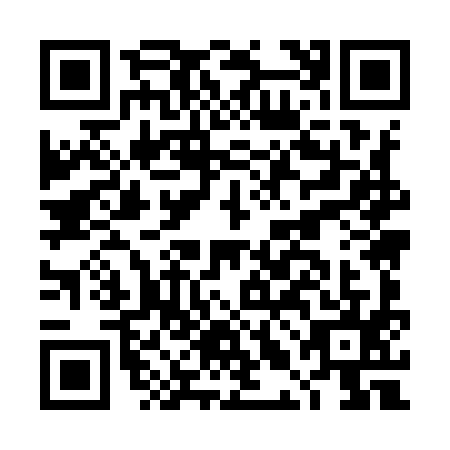 QR code for DLM9951