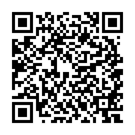 QR code for plate DMG-6886