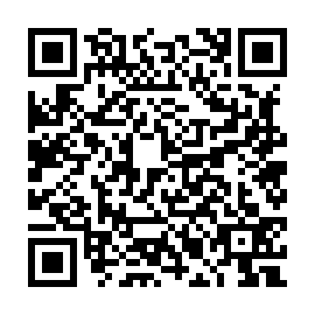 QR code for DMG8334