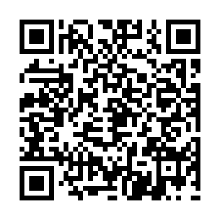 QR code for DMT1595