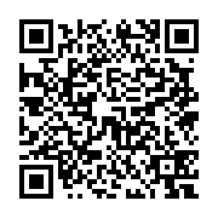 QR code for DNQ-0393