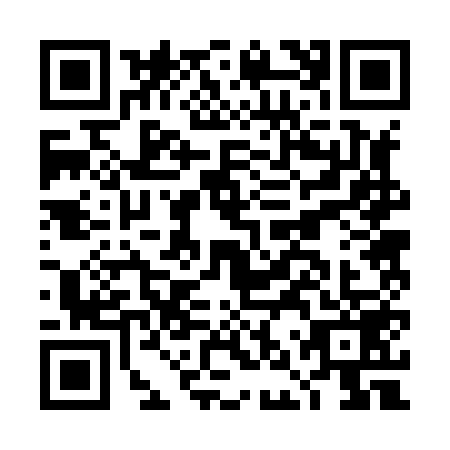 QR code for plate DNR-8595