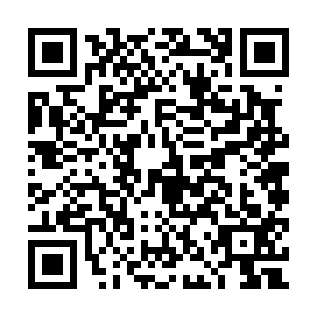 QR code for DNV-0137