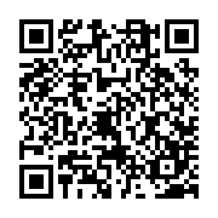 QR code for DNV-2866