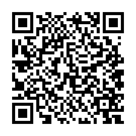 QR code for DNV-3663