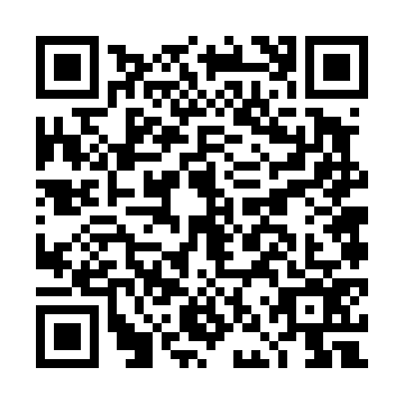 QR code for DNV-4767