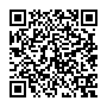 QR code for plate DNZ-0300