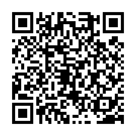 QR code for plate DOG-4390