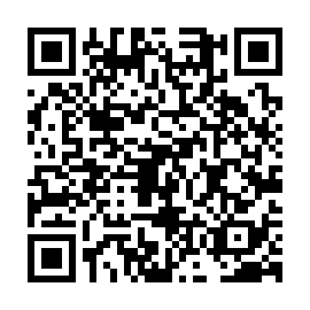 QR code for DOL3386