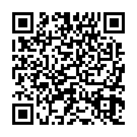 QR code for DOT-2699