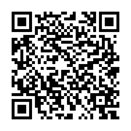 QR code for DPQ6065