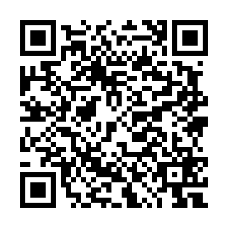 QR code for DQI-4691