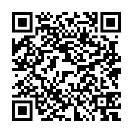 QR code for DQM-0384