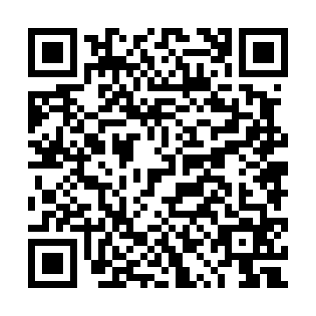 QR code for DQN-4641