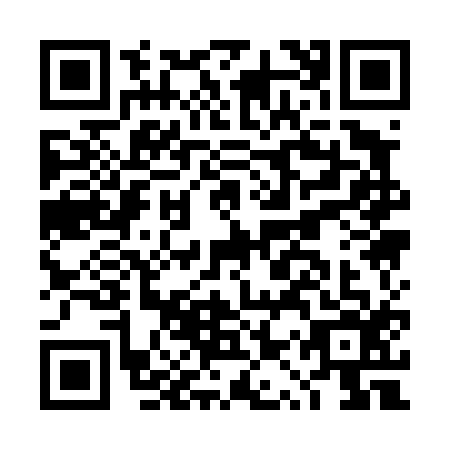 QR code for DQQ-4163