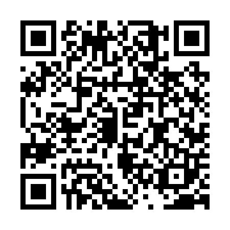 QR code for DSF-2033
