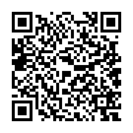 QR code for plate DSF-0294