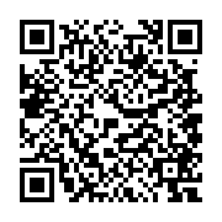 QR code for plate DSF-0499