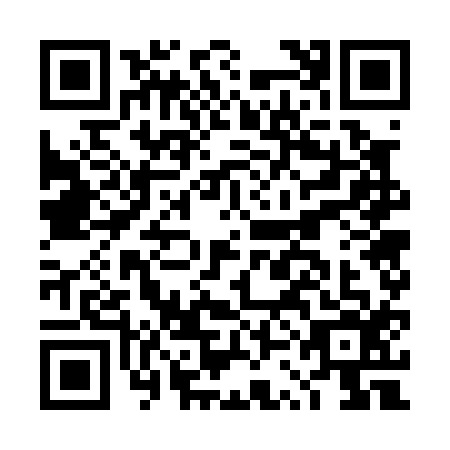QR code for DSG-0169