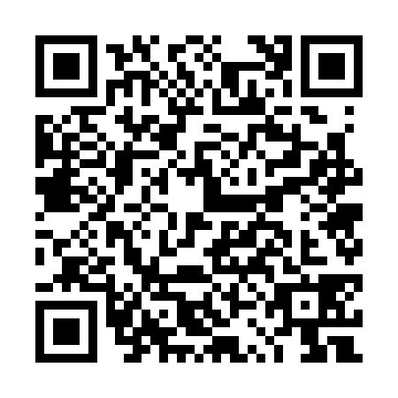 QR code for DSG3380
