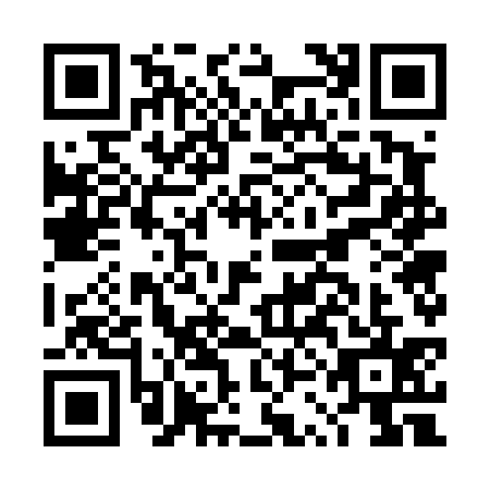 QR code for DSG4351