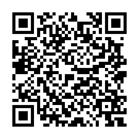 QR code for DSI-0667
