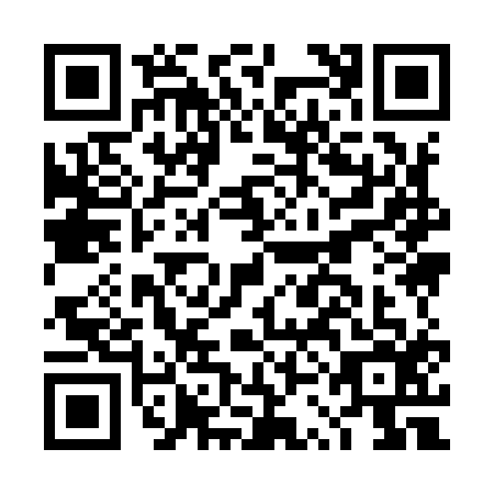 QR code for DSI-9166