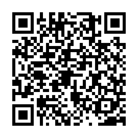 QR code for DSI2493