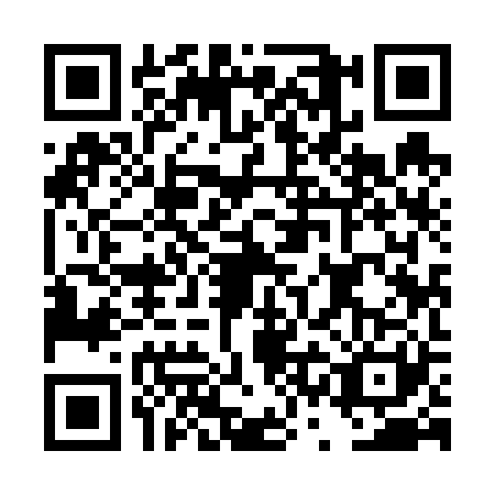 QR code for DSI6218