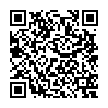 QR code for plate DSK-0217
