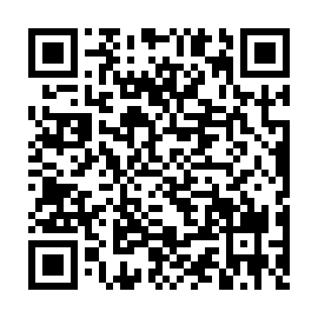 QR code for DSN-1394