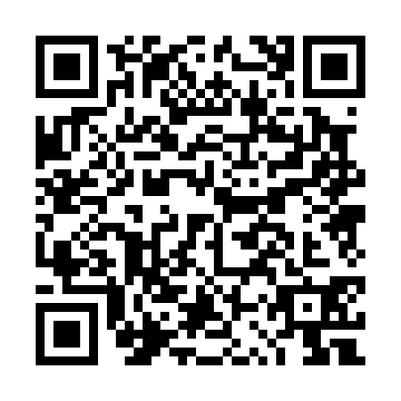 QR code for DSP0307