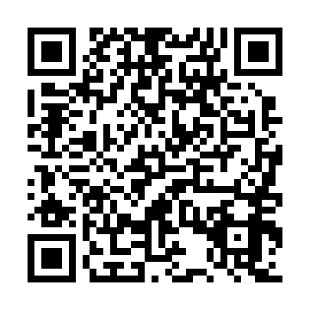 QR code for DST2597