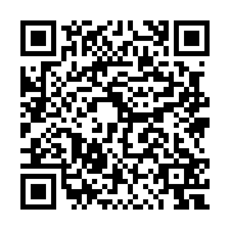 QR code for plate DSY-0231