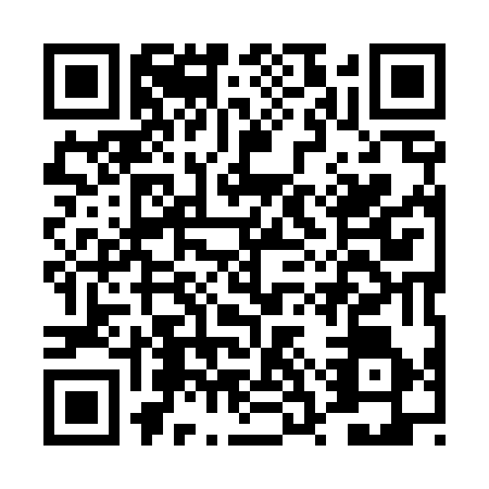 QR code for DSY4763