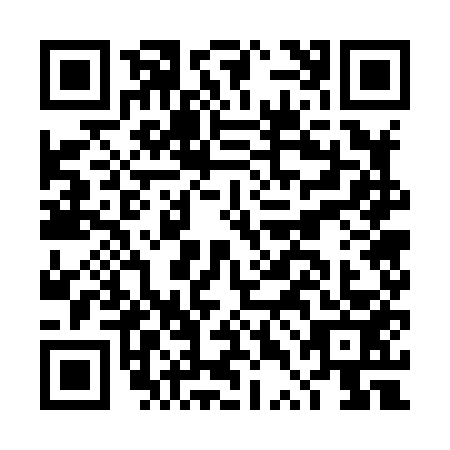 QR code for plate DTG-8533