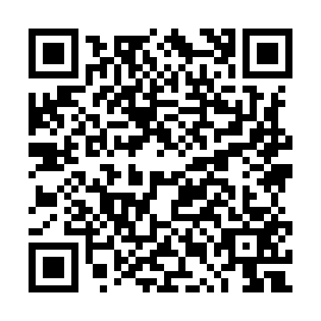 QR code for DUI9535
