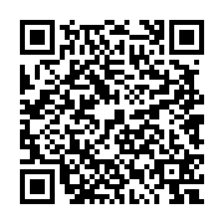 QR code for DUT-4218