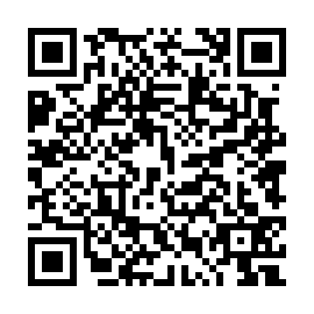 QR code for DUT0335