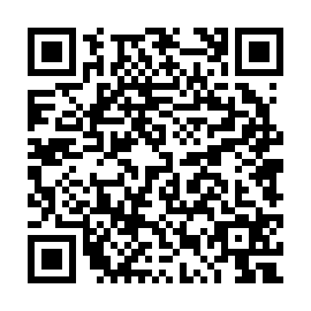 QR code for DUT2243